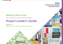 Project Leader's Guide: (The Productive Mental Health Ward)